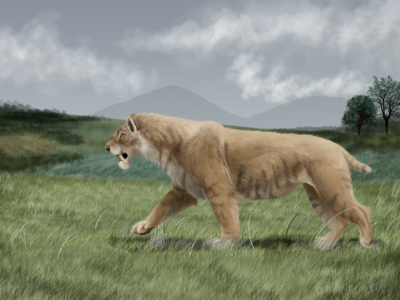 Smilodon